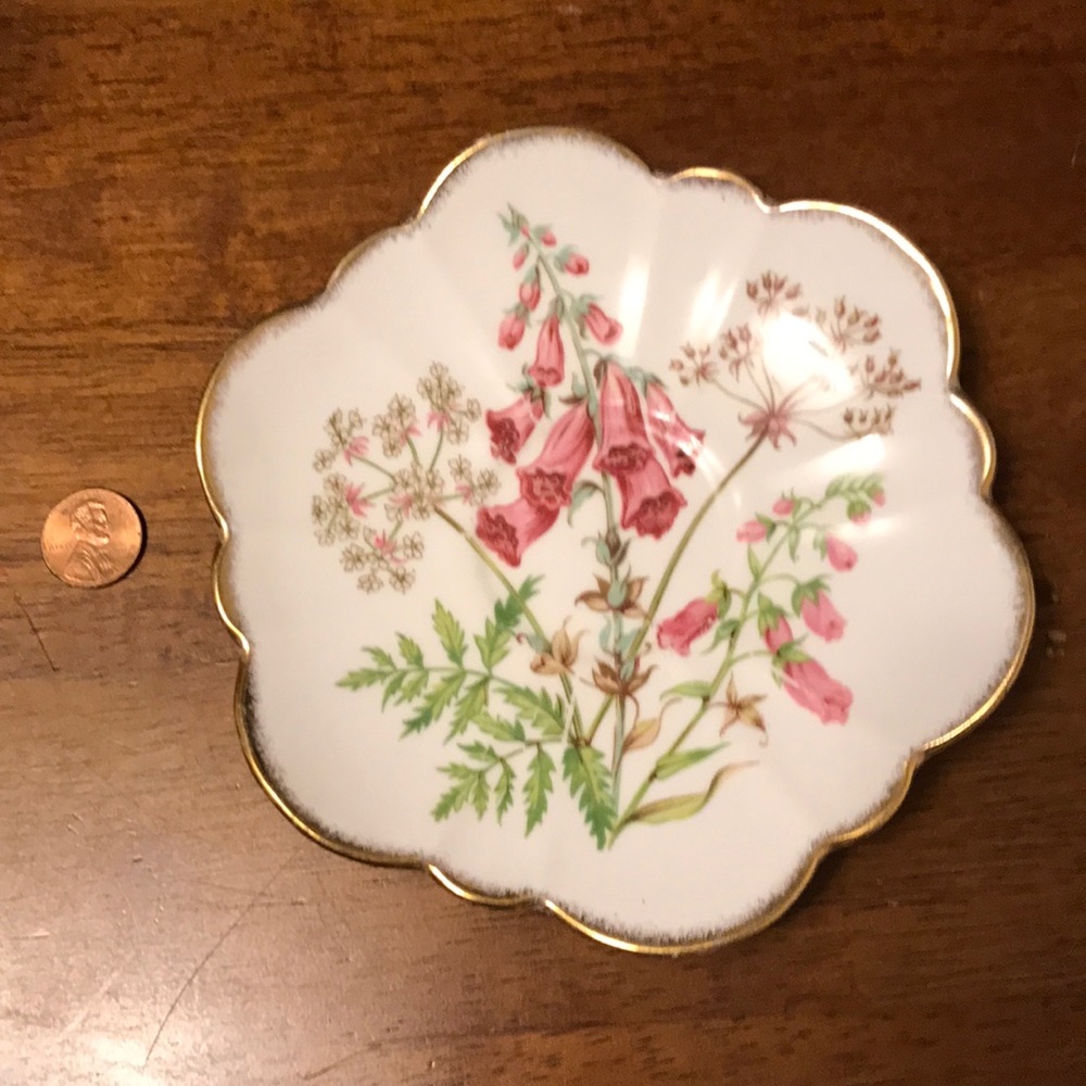 Vintage SalisburyFoxglove Bone China Mini plate